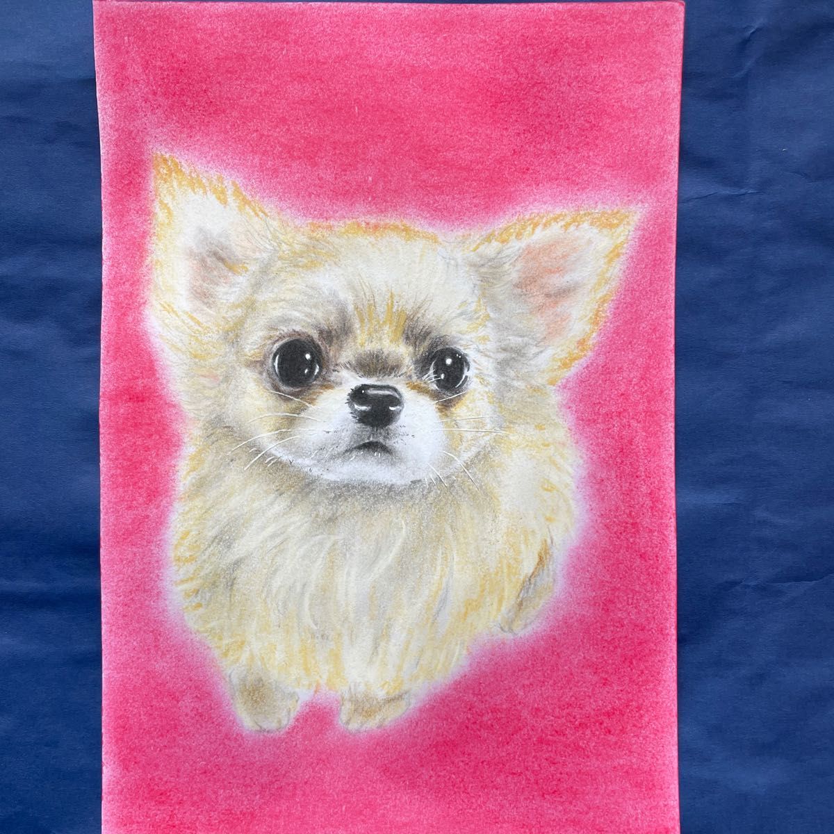 B5 色鉛筆画　チワワ　子犬　原画