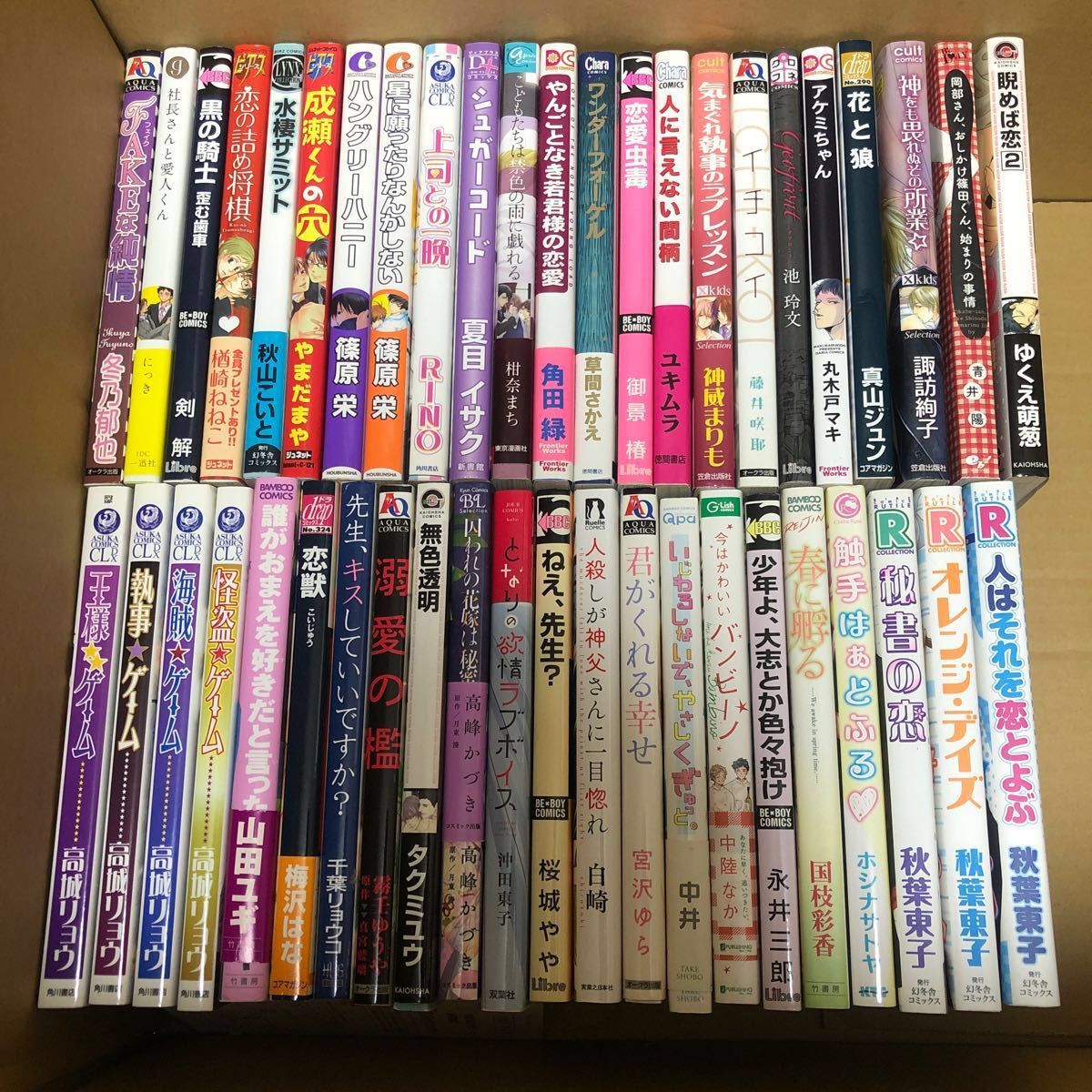 BL本 バラ売り可能 - ruizvillandiego.com