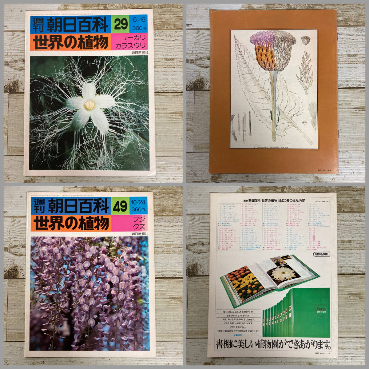 週刊 朝日百科 世界の植物 全1〜10巻揃 週刊 朝日百科 世界の植物 全1〜10巻揃
