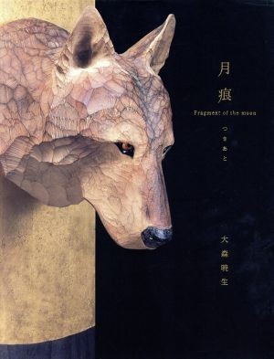 月痕／大森暁生(著者)_画像1