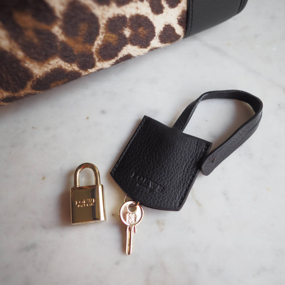 全てのアイテム LOEWE ロエベ 23 レオパード ロエベ アマソナ アマソナ