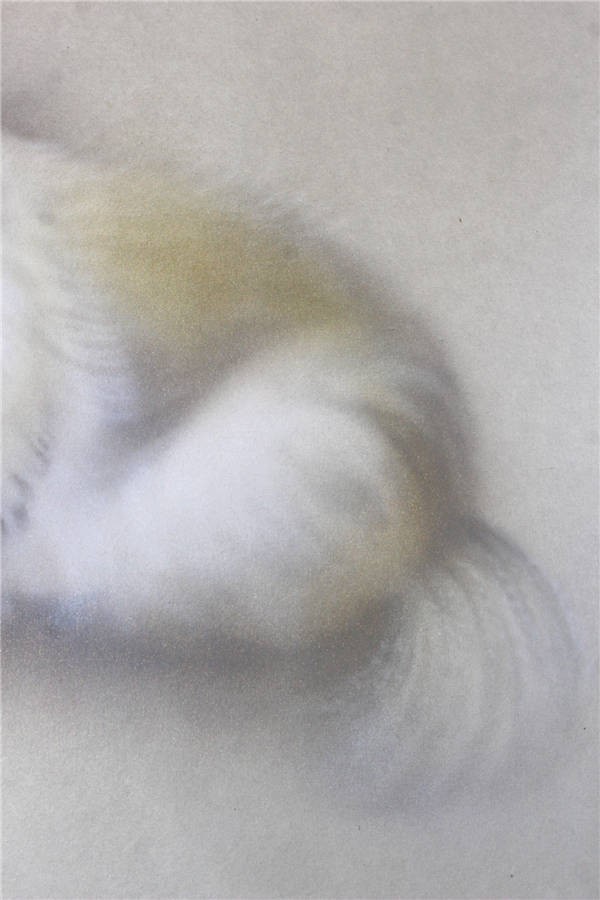 【真作】名品　太巻　横浜の日本画家　中川幸彦　『小犬』　二重箱　共箱　〈真作〉　ウ2623_画像6