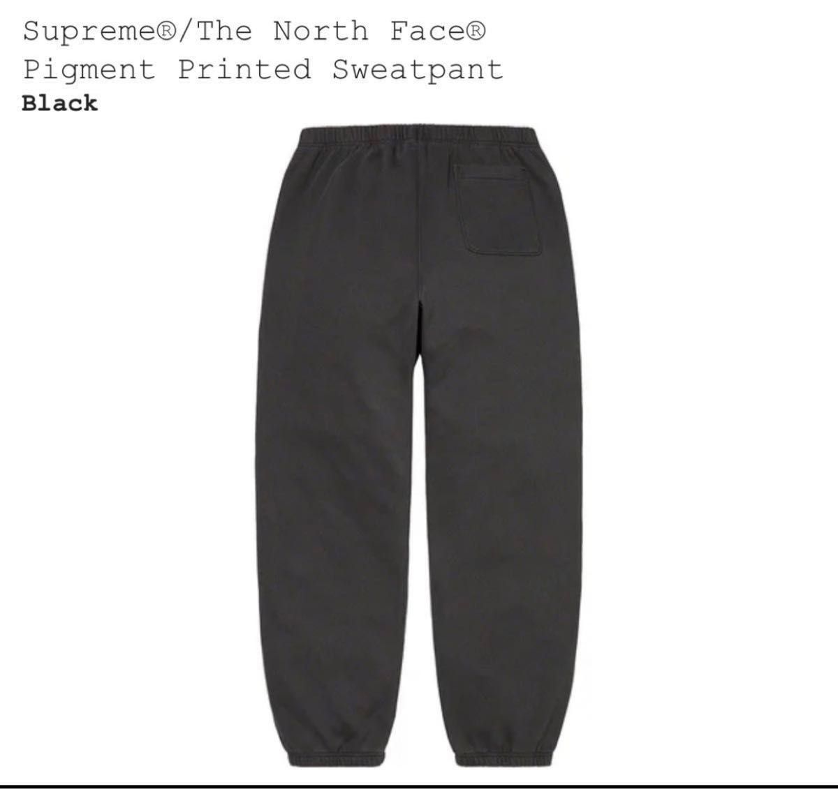 未使用】Supreme/The North Face Pigment Printed Sweatpant sサイズ