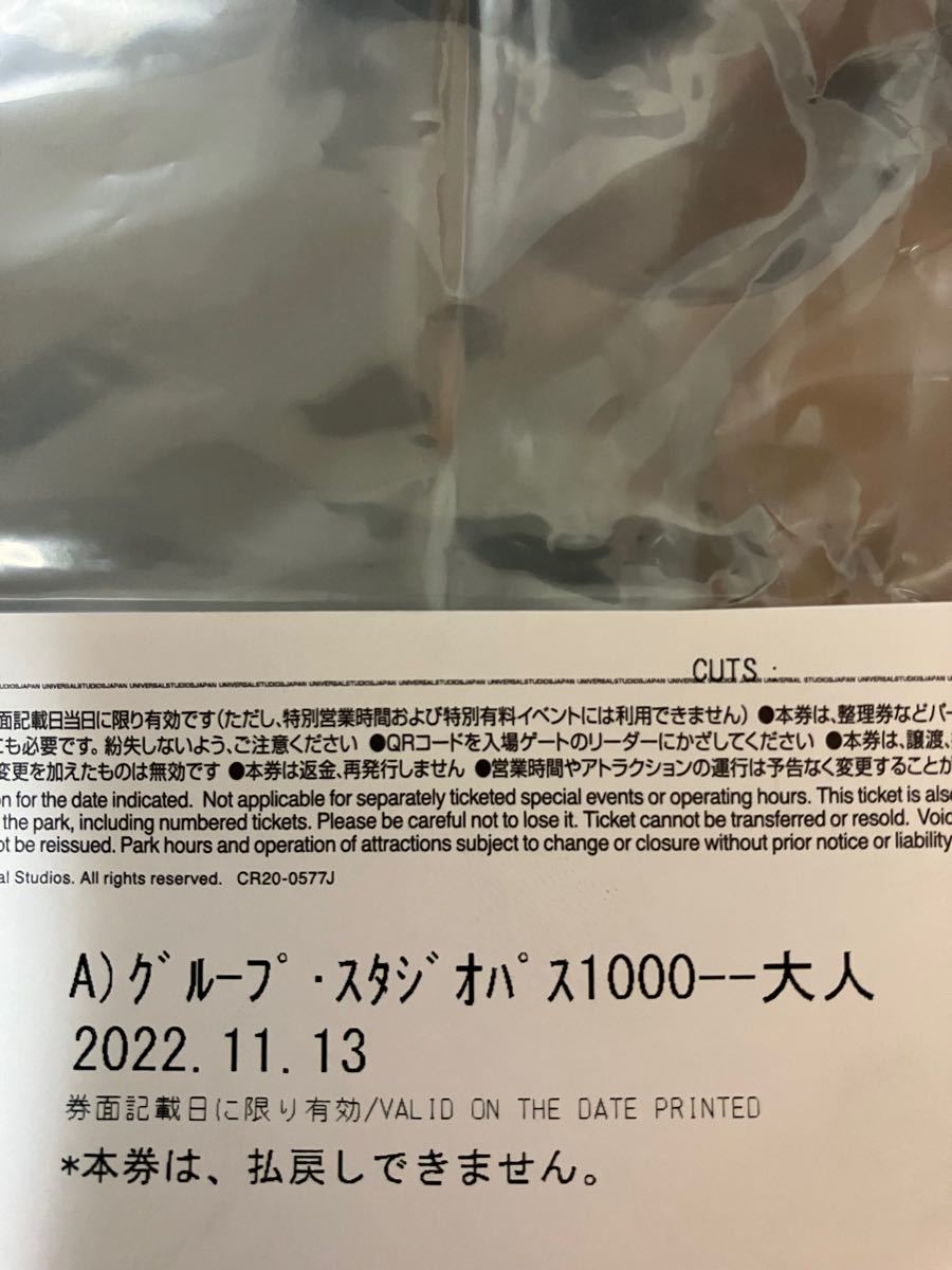 ユニバ グループ スタジオパス ペア USJ 2枚 1日券|PayPayフリマ