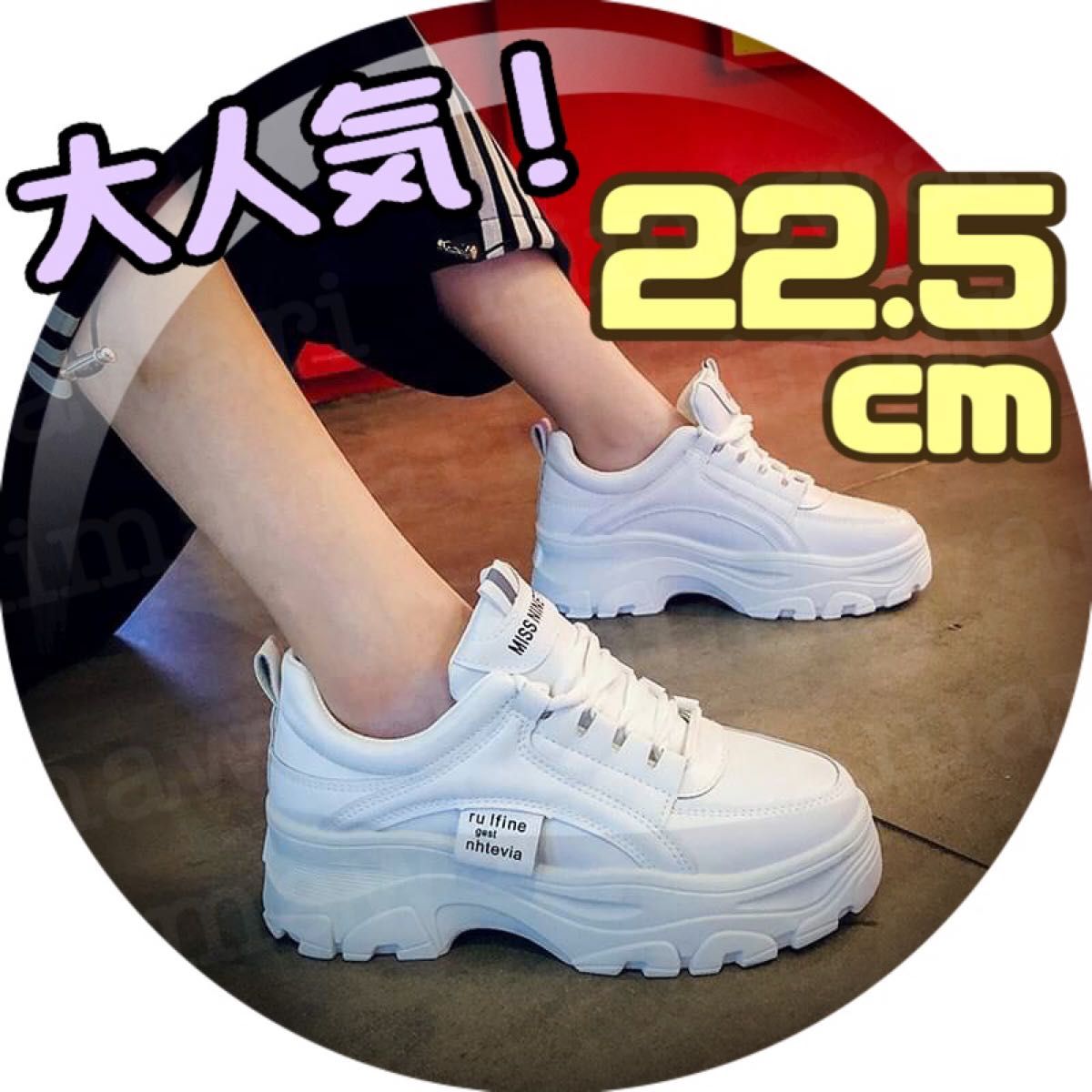 23㎝ アイボリー ベージュ 厚底スニーカー ダッドシューズ 厚底 韓国 靴
