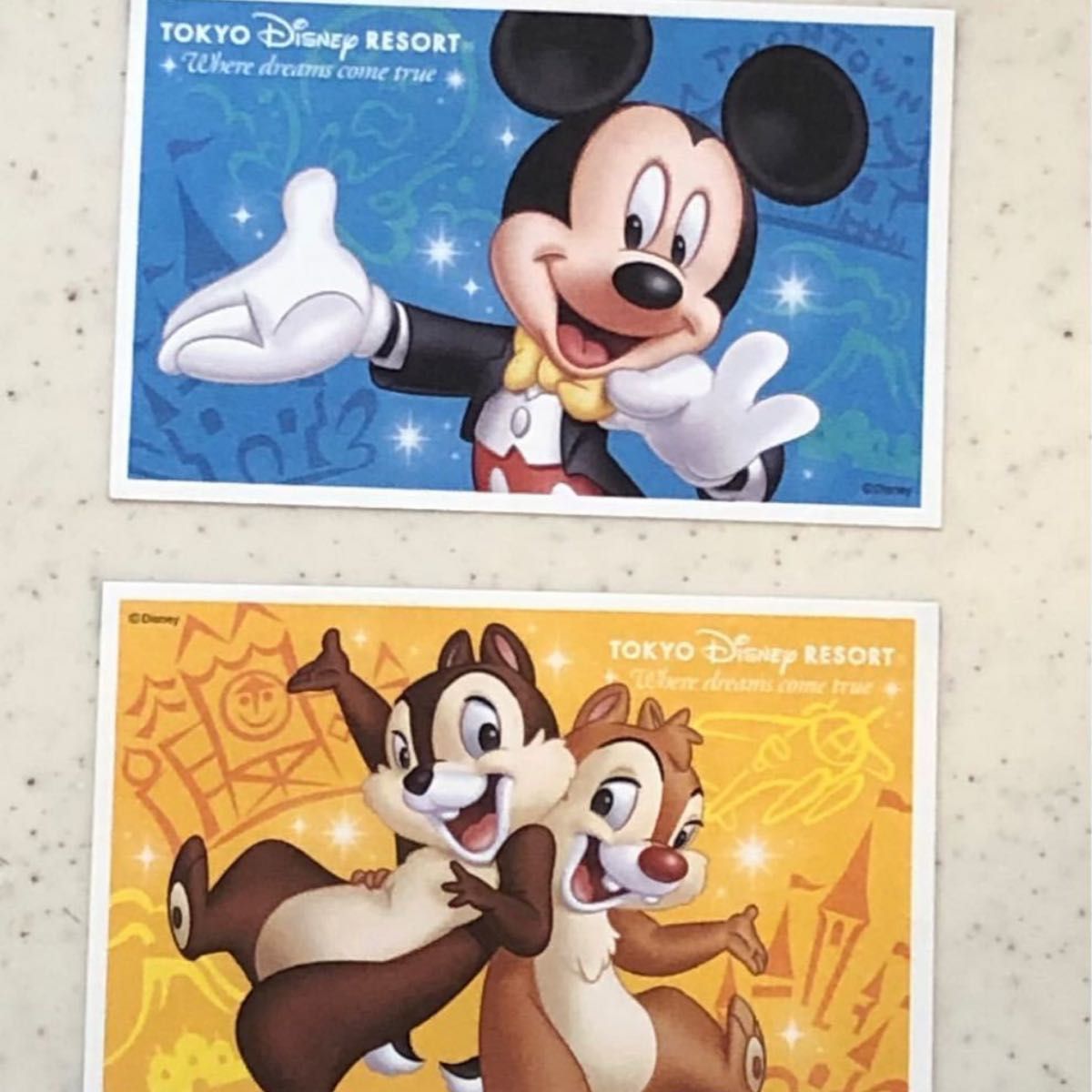 東京ディズニーリゾート 1デーパスポート☆大人2枚 チケット チケット