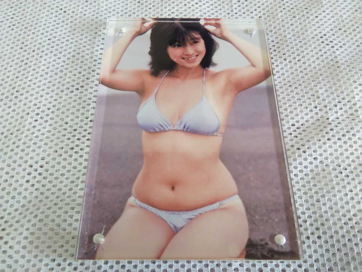 Yahoo!オークション - 河合奈保子 ビキニ水着 写真 Yahoo!オークション - 河合奈保子 ビキニ水着 写真