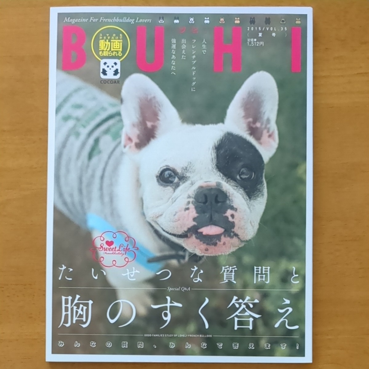 ＢＵＨＩ (vol.35 2015夏号)(vol.36 2015秋号) 季刊誌／オークラ出版