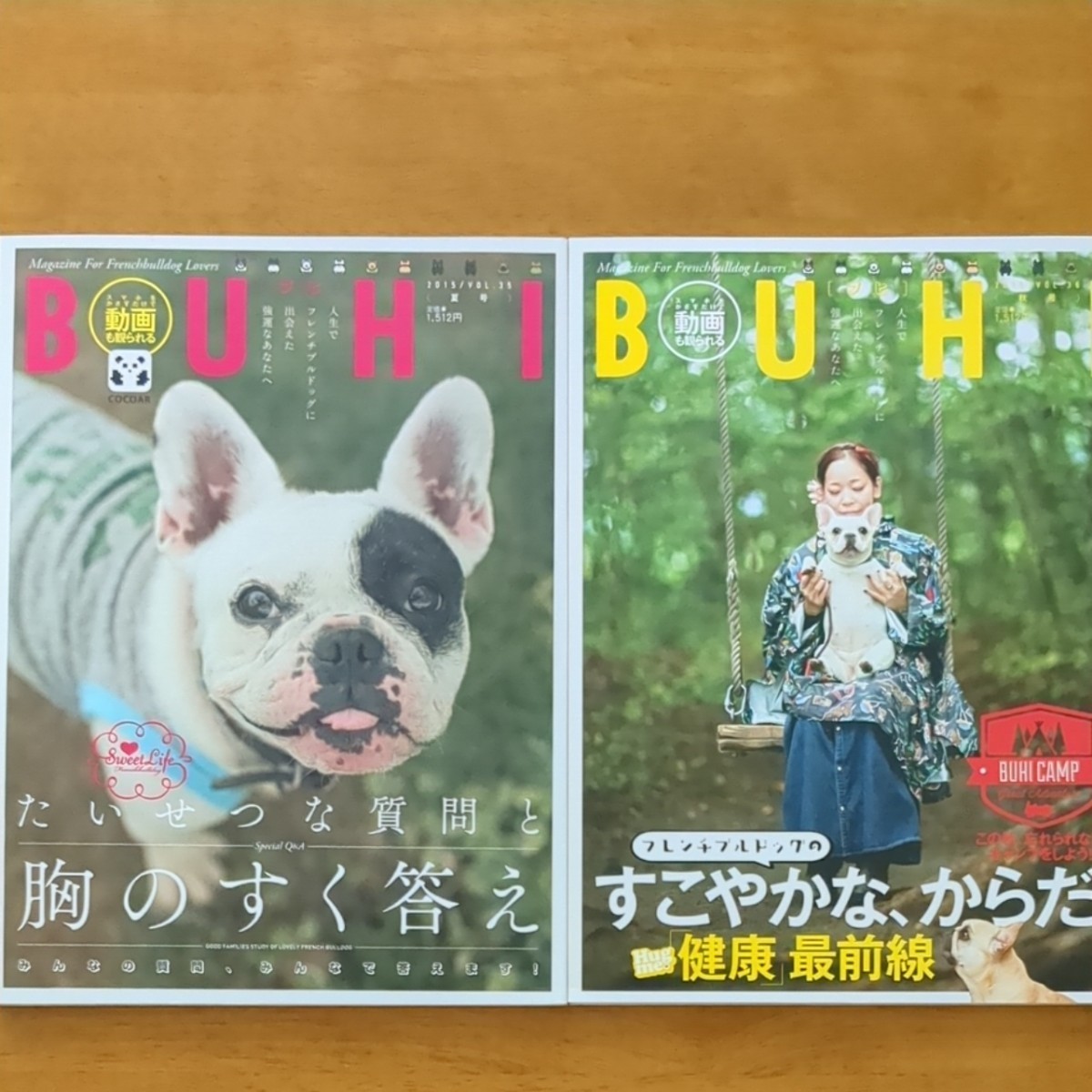 ＢＵＨＩ (vol.35 2015夏号)(vol.36 2015秋号) 季刊誌／オークラ出版