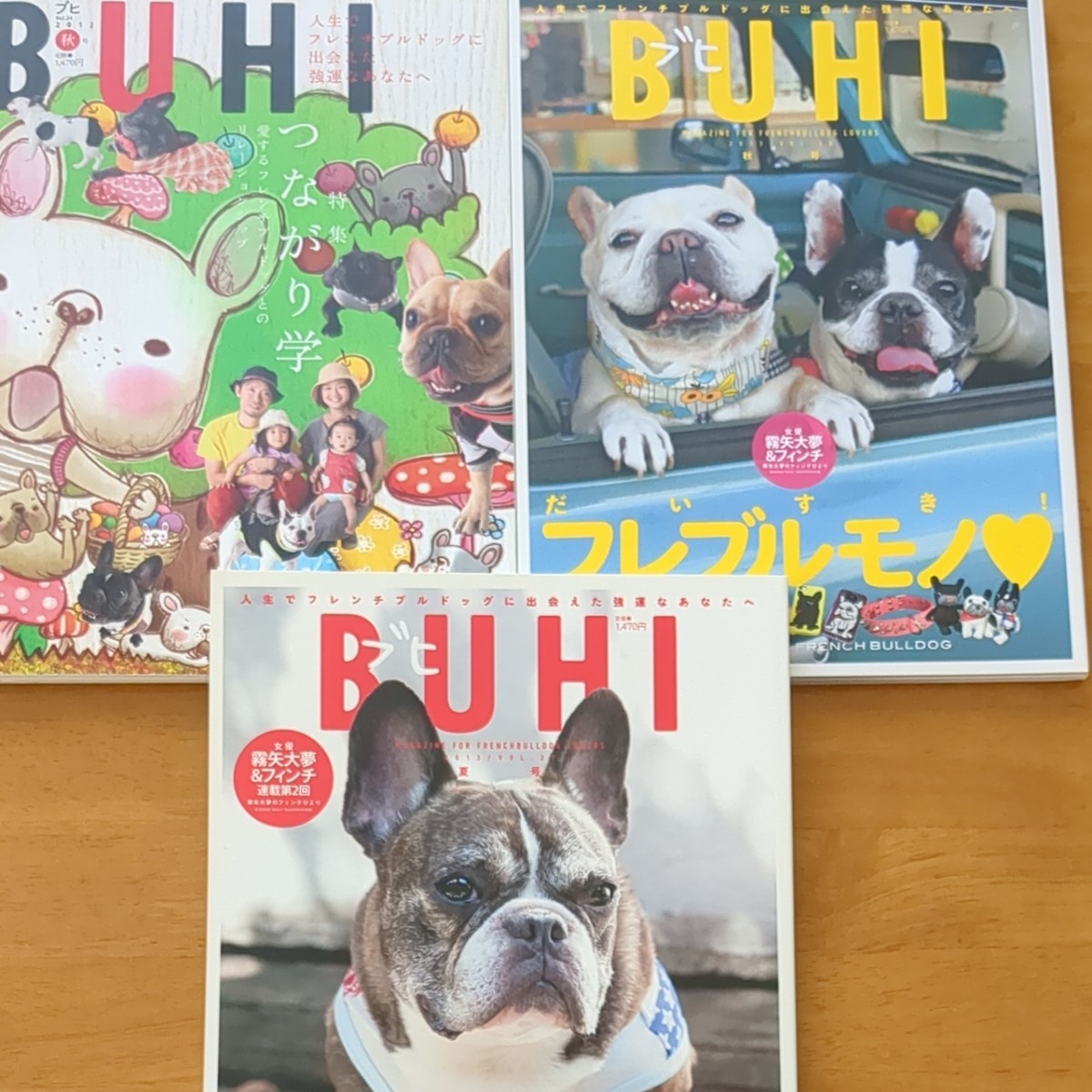 ＢＵＨＩ (vol.24 2012 秋号) (vol.27 2013夏号)(vol.28 2013 秋号)季刊誌／オークラ出版 