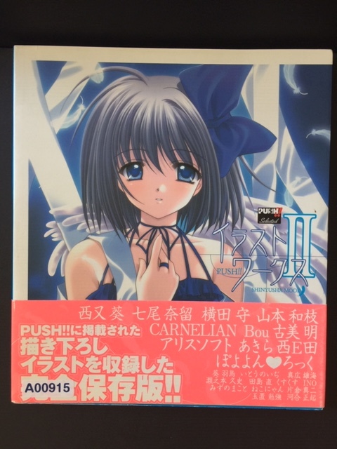 素晴らしい価格 Push!!イラストワークス 2 イラスト集、原画集