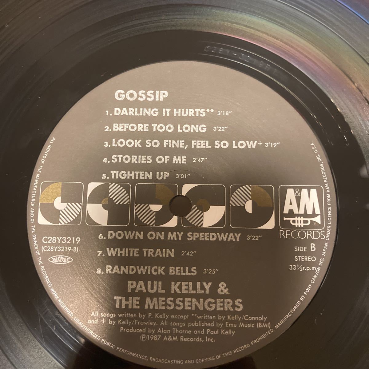 日本盤 レア Paul Kelly And The Messengers Gossip C28Y3219 ポールケリー&メッセンジャーズ_画像6