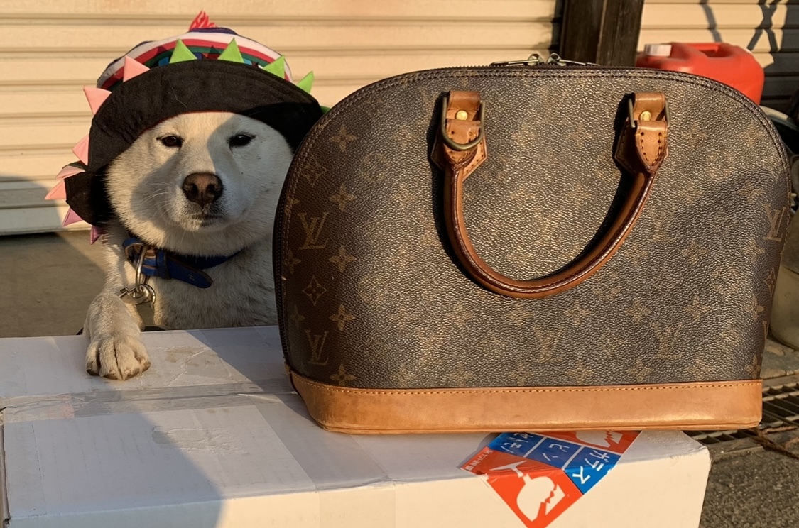 絶品】 Louis Vuitton Alma（旧型）ルイ・ヴィトン アルマ USED品