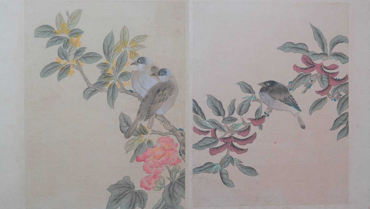 中國 手繪紙本花鳥晝 一冊十二圖 / 肉筆花鳥晝