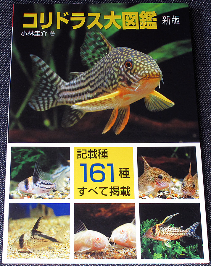 ★美品在庫1即納★コリドラス大図鑑(新版)｜ ナマズの仲間 記載種161種類+未記載種 飼育 飼い方 水槽レイアウト 繁殖 熱帯魚 アクアライフ_落丁（ページ抜け）はありません