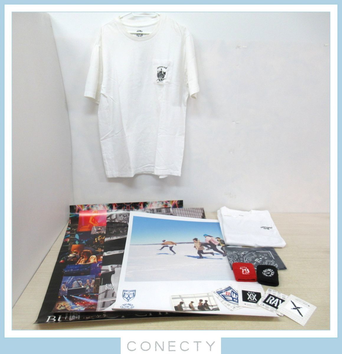BUMP OF CHICKEN グッズセット www.erpyme.cl