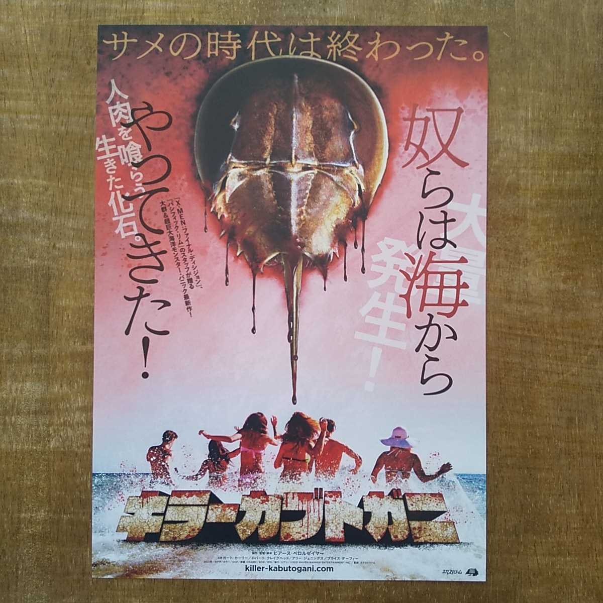 ■映画チラシ【キラーカブトガニ】2023年_画像1