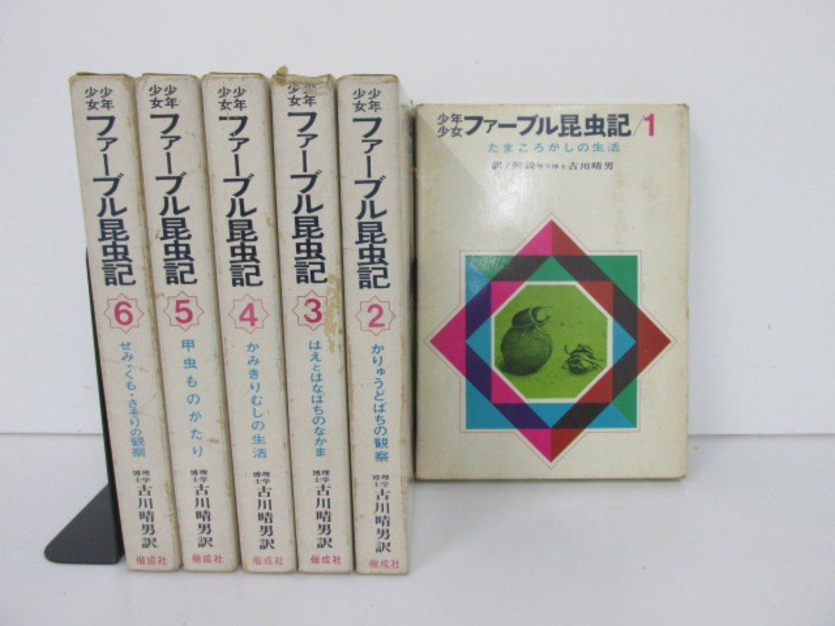 V0.14 [ all 6 pcs. .. boy young lady fur bru insect chronicle 1-6 volume set old river . man Kaiseisha ]155-02211