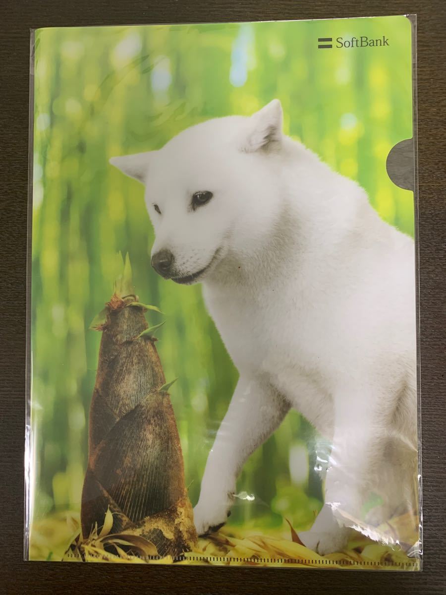 SoftBank お父さん犬 A4クリアファイル