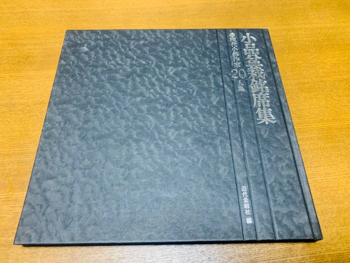 Yahoo!オークション - 小品盆栽銘席集・現代小鉢作家20人集/日頃 Yahoo!オークション - 小品盆栽銘席集・現代小鉢作家20人集/日頃