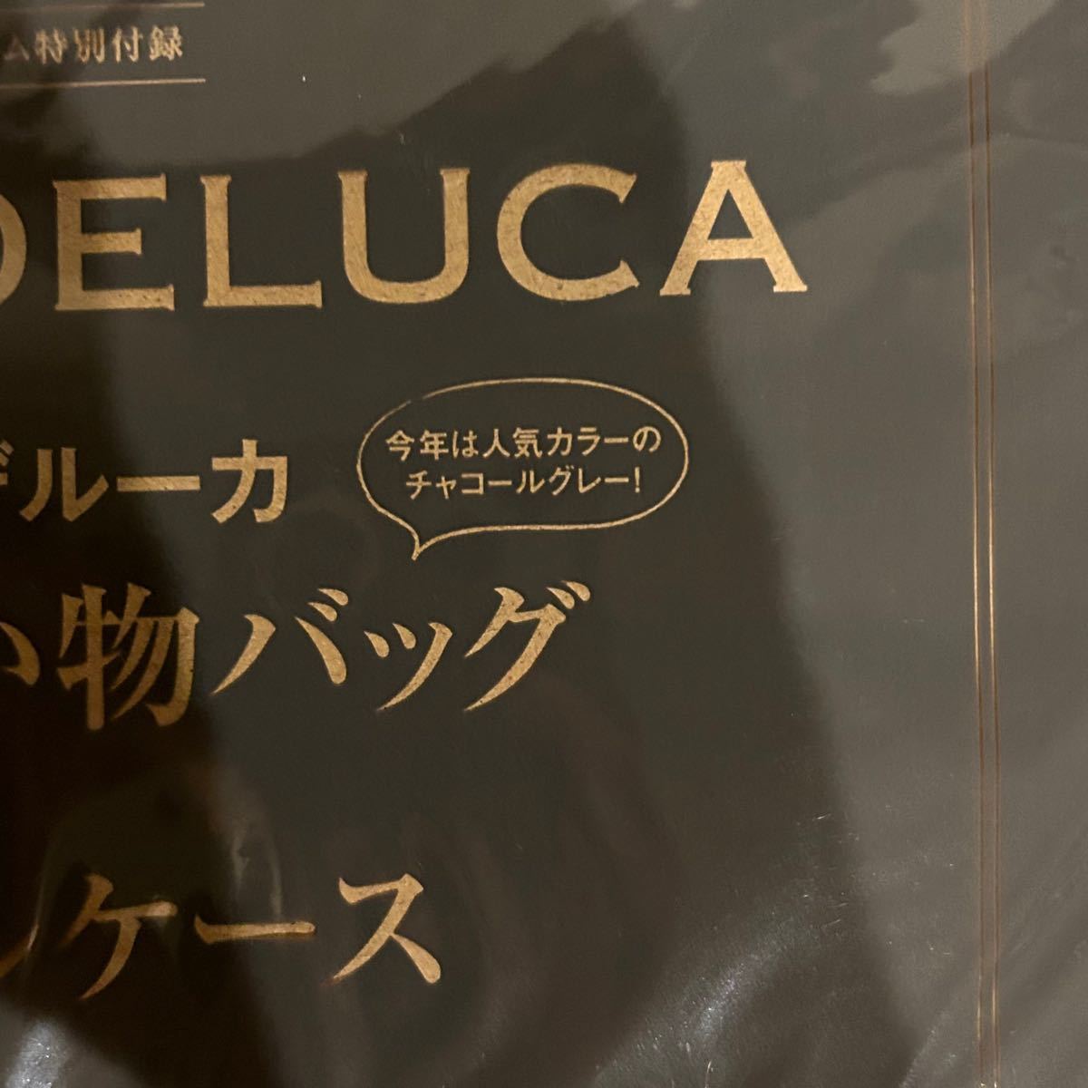 DEAN&DELUCA レジかご買い物バッグ＋保冷ボトルケース