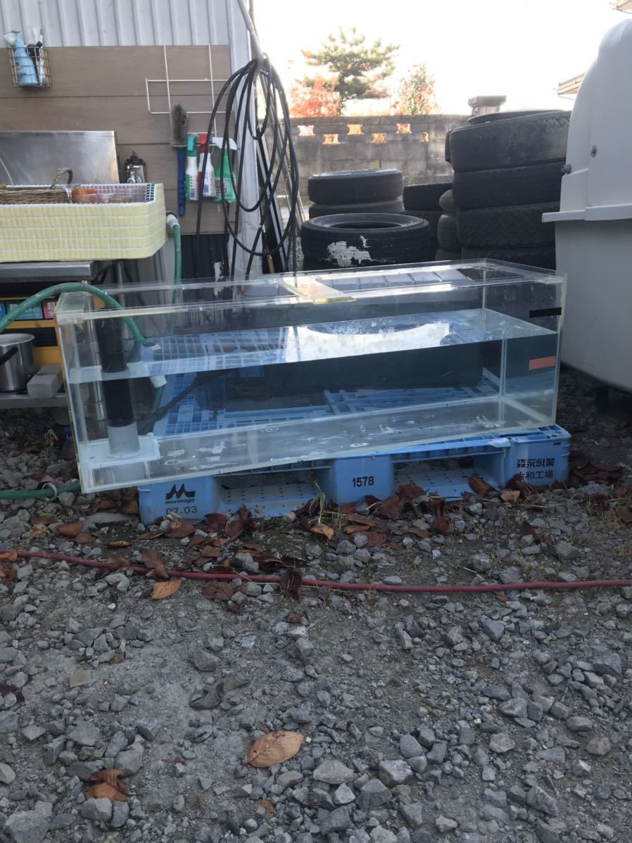 Yahoo!オークション - 中古 大型 アクリル水槽 120×40×40 水槽
