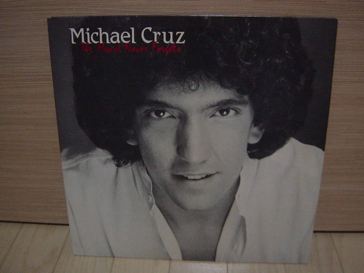 LP[AOR] MICHAEL CRUZ HEART NEVER FORGETS マイケル・クルーズ_画像1