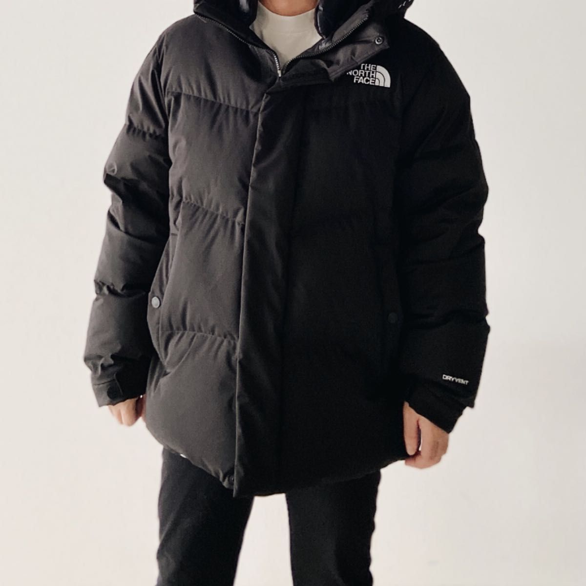THE NORTH FACE 新品未使用 韓国正規品 ノースフェイス フリームーブ