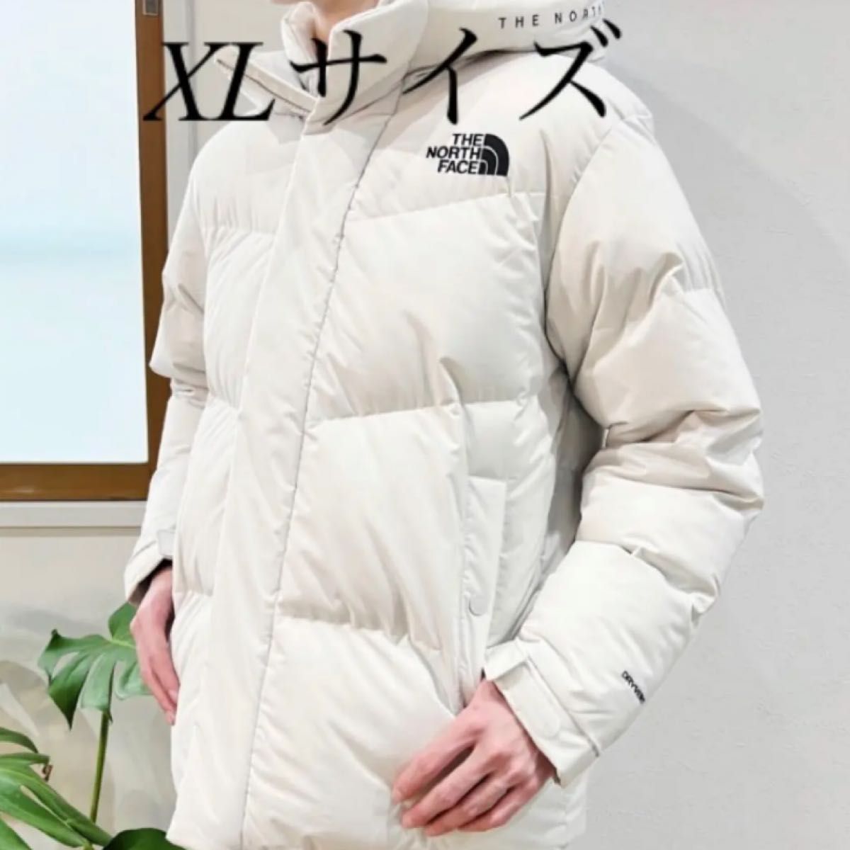 THE NORTH FACE 新品未使用　韓国正規品　ノースフェイス　フリームーブ　ダウンジャケット　XLサイズ メンズファッション コート、アウター