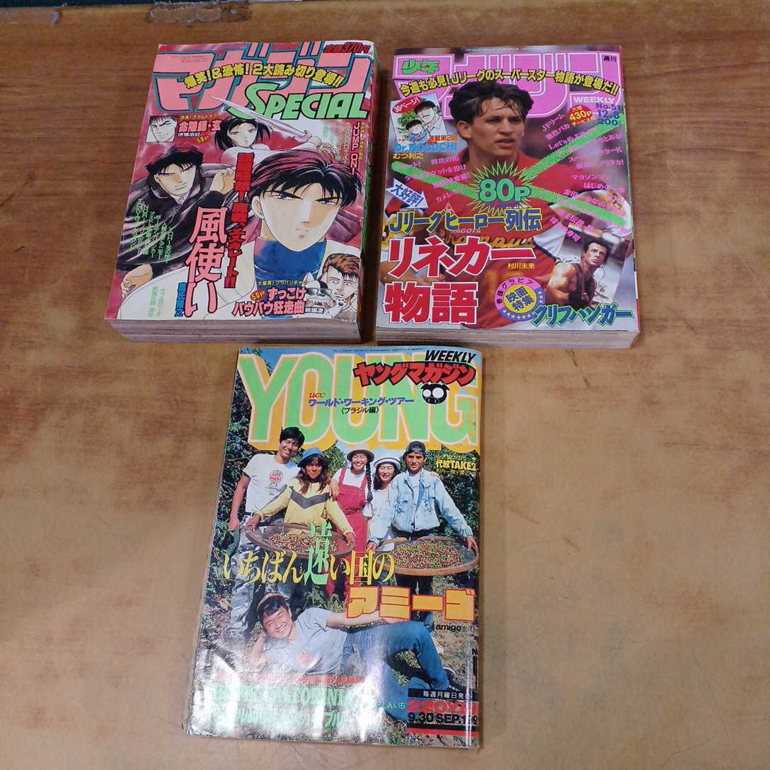 週刊少年マガジン51号 マガジンSPECIAL12号 1993年 ヤング 週刊少年マガジン51号 マガジンSPECIAL12号 1993年 ヤング