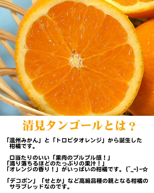 愛媛 佐田岬産 清見タンゴールジュース 1000ml×6本 完熟の果汁 送料無料 宇和海の幸問屋_画像8