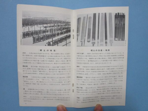 り1869 20万分1地図　広島県　都道府県別地図　昭和49年　和楽路屋_画像7