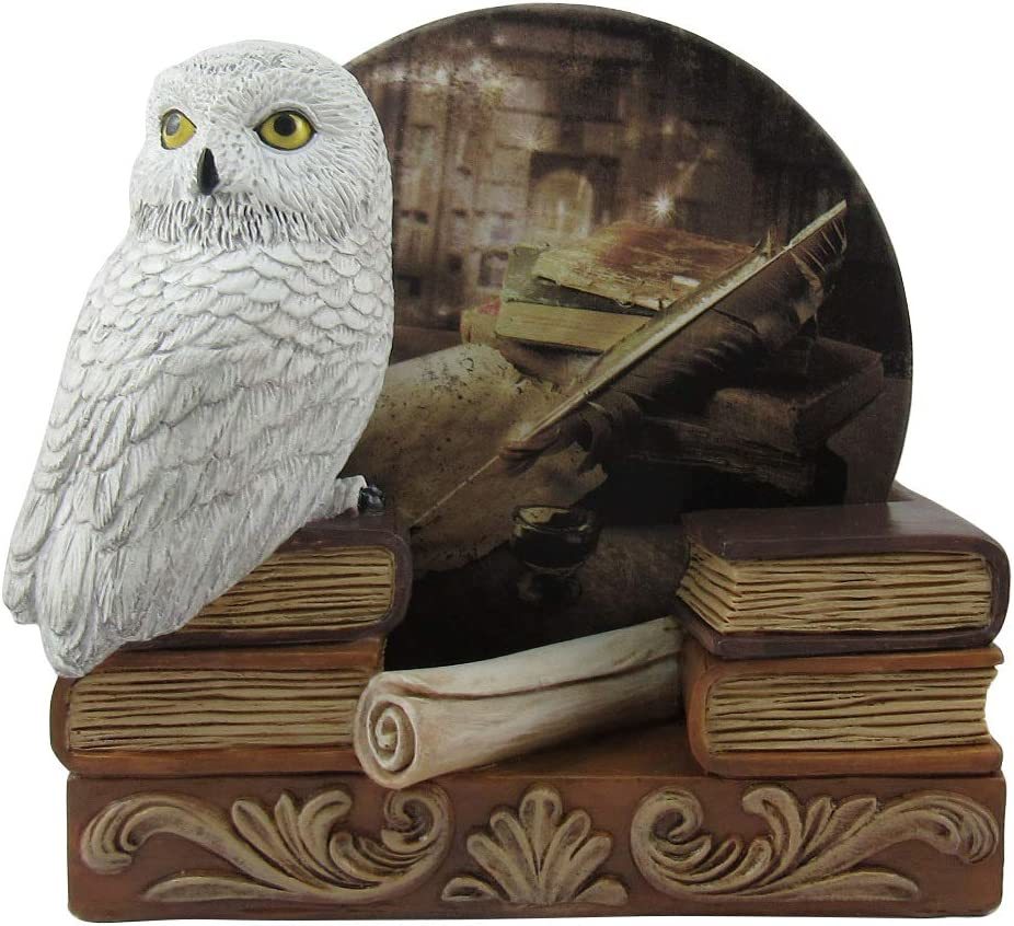 スペル & ポーション シロフクロウのコースターセット 装飾的な白いフクロウ 魔法学校の装飾 ドリンクコースター(輸入品