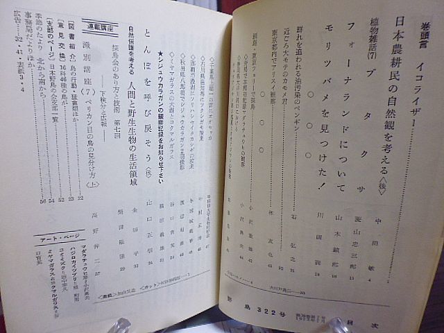 野鳥 322号　植物雑話・ブタクサ　とんぼを呼び戻そう　モリツバメを見つけた！　東京都内でアリスイ観察　釧路東京フェリーで探鳥　_画像4