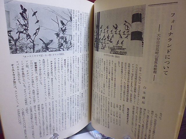 野鳥 322号　植物雑話・ブタクサ　とんぼを呼び戻そう　モリツバメを見つけた！　東京都内でアリスイ観察　釧路東京フェリーで探鳥　_画像5