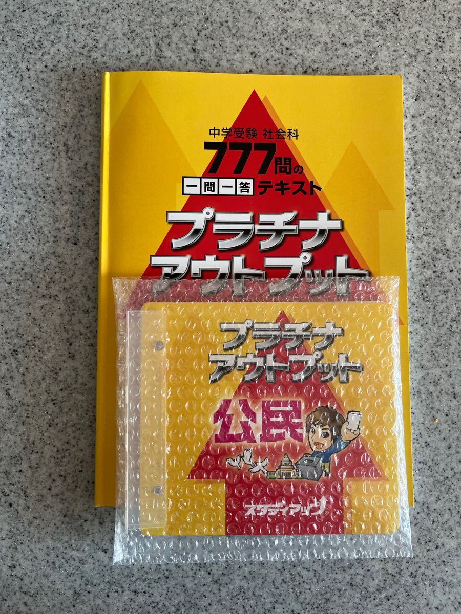 メール便可 2セットまで スタディアップ プラチナアウトプット 地理