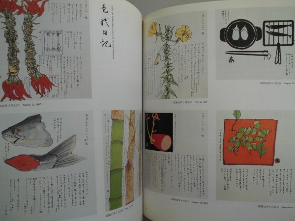 宮脇綾子自選展 154作品 其の他32作品 1988年 朝日新聞社の画像8