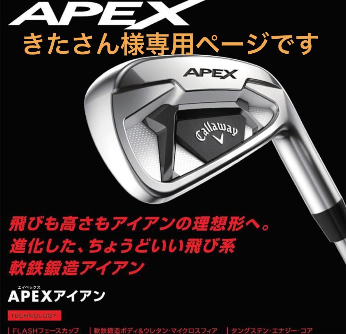 Callaway(キャロウェイ)日本正規品 APEX(エイペックス)アイアンスチールシャフト 6本セット(I#5～9、PW)