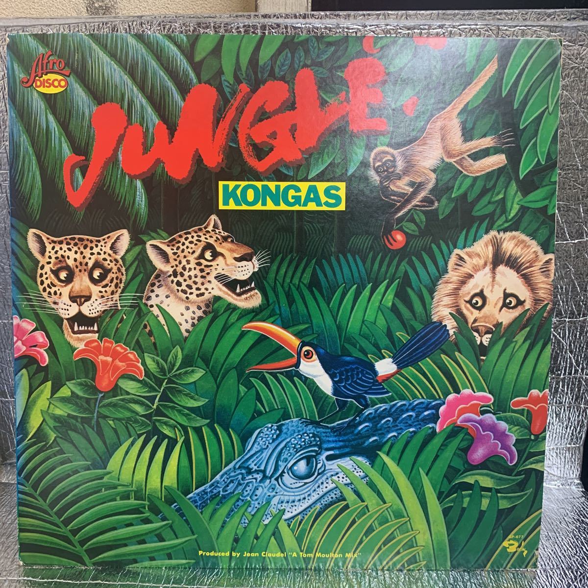 洗浄済 再生良好 12インチ /KONGAS (コンガス) / JUNGLE (ジャングル)/AFRO DISCO GP-677の画像1