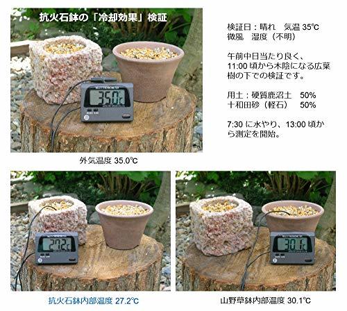 工房はやちね(Kobohayachine) 抗火石(軽石)鉢 Lサイズ - 山野草、盆栽、多肉植物の栽培用_画像4