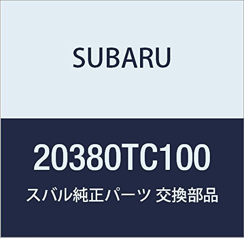 SUBARU (スバル) 純正部品 コイル スプリング リヤ 品番20380TC100_画像1