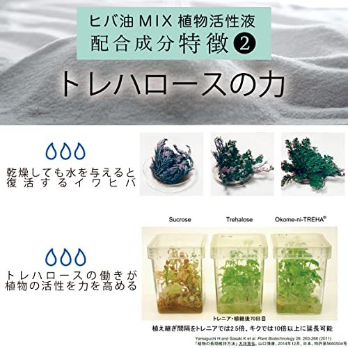 ガーデニング ヒバ油MIX 植物活性液 植物 活性剤 栄養剤 ヒバ油 液体肥料 無農薬 有機 計量カップつき [ 観葉植物 切り花 ]_画像7