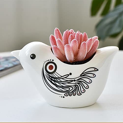 植木鉢 陶器 小鳥の多肉植物鉢 シンプル ヨーロッパ風 動物 かわいい 白（4号） (三点セット)_画像5