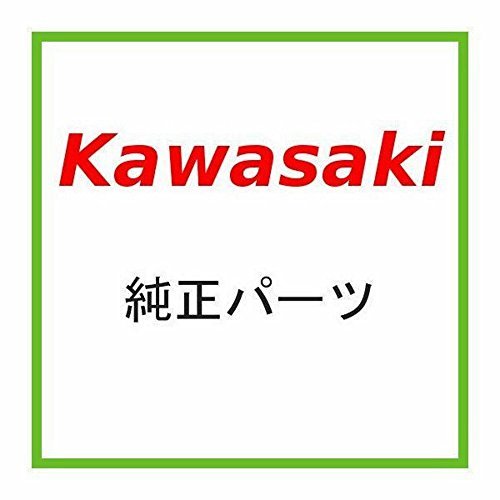 KAWASAKI (カワサキ) 純正部品　フィルタ（ウォーター） 49019-1068_画像1