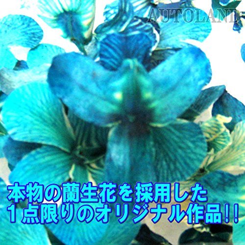 水中花ハンドルスピンナー 青色 ステアリングノブ 本物蘭 生花作品 太径グリップ オートランド_画像4
