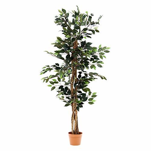 不二貿易 フェイクグリーン 観葉植物 幅60×奥行60×高さ150cm グリーン 大型 フィカスA 52661_画像1