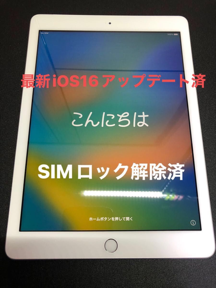 第6世代 iPad 32GB  wifiモデル　管理番号：0687