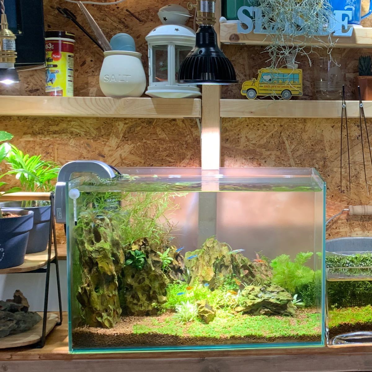 HaruDesign 植物育成LEDライト HASU 38 spec 9 6K (ハス 38 HaruDesign 植物育成LEDライト HASU 38 spec 9 6K (ハス 38