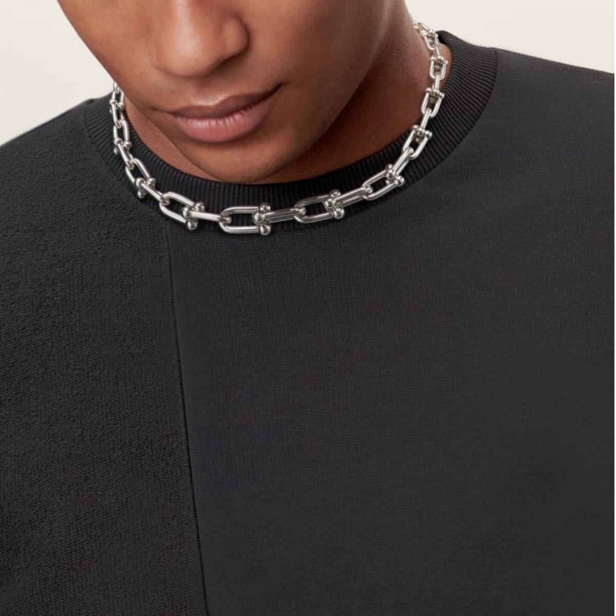 Tiffany ハードウェア ネックレス グラジュエイテッド リンク Tiffany ハードウェア ネックレス グラジュエイテッド リンク