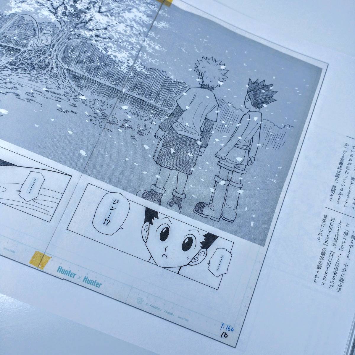 公式ストア 冨樫義博展 HUNTER×HUNTER ハンターハンター色紙 キルア